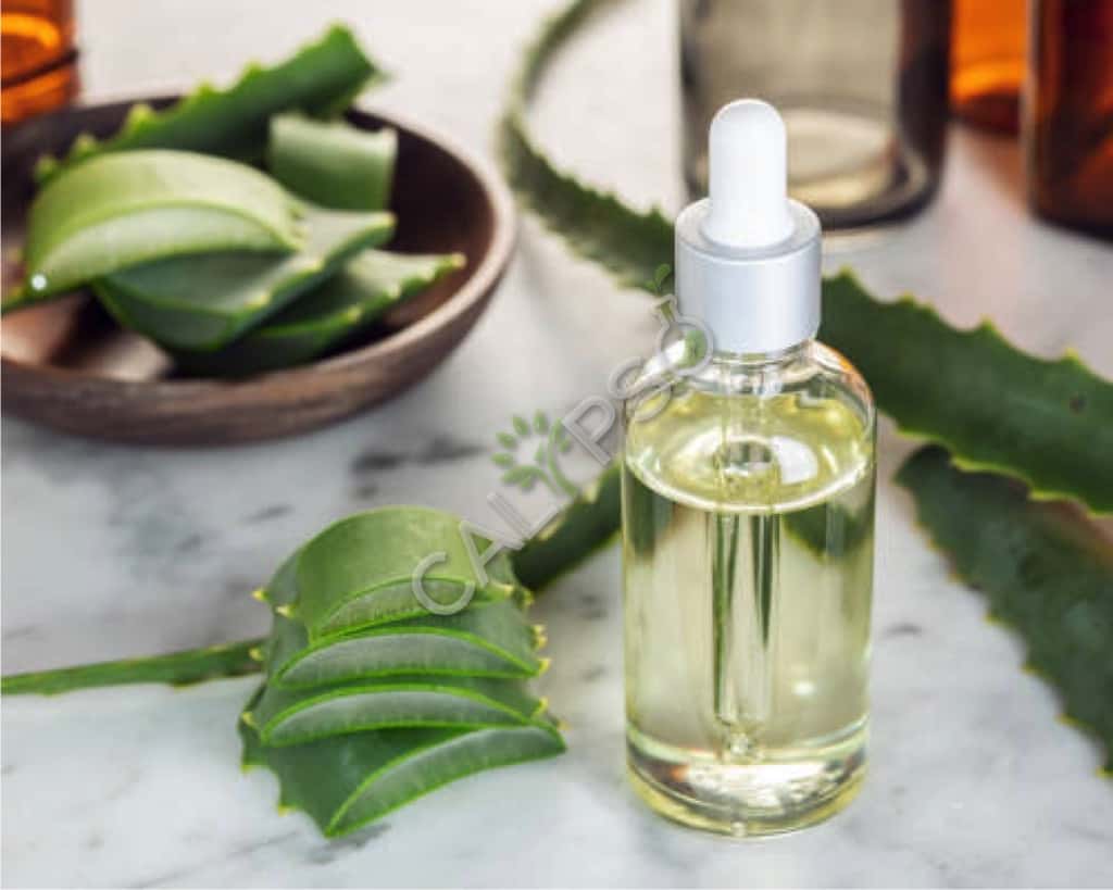 Acquista olio essenziale al 100% puro aloe vera per la pelle